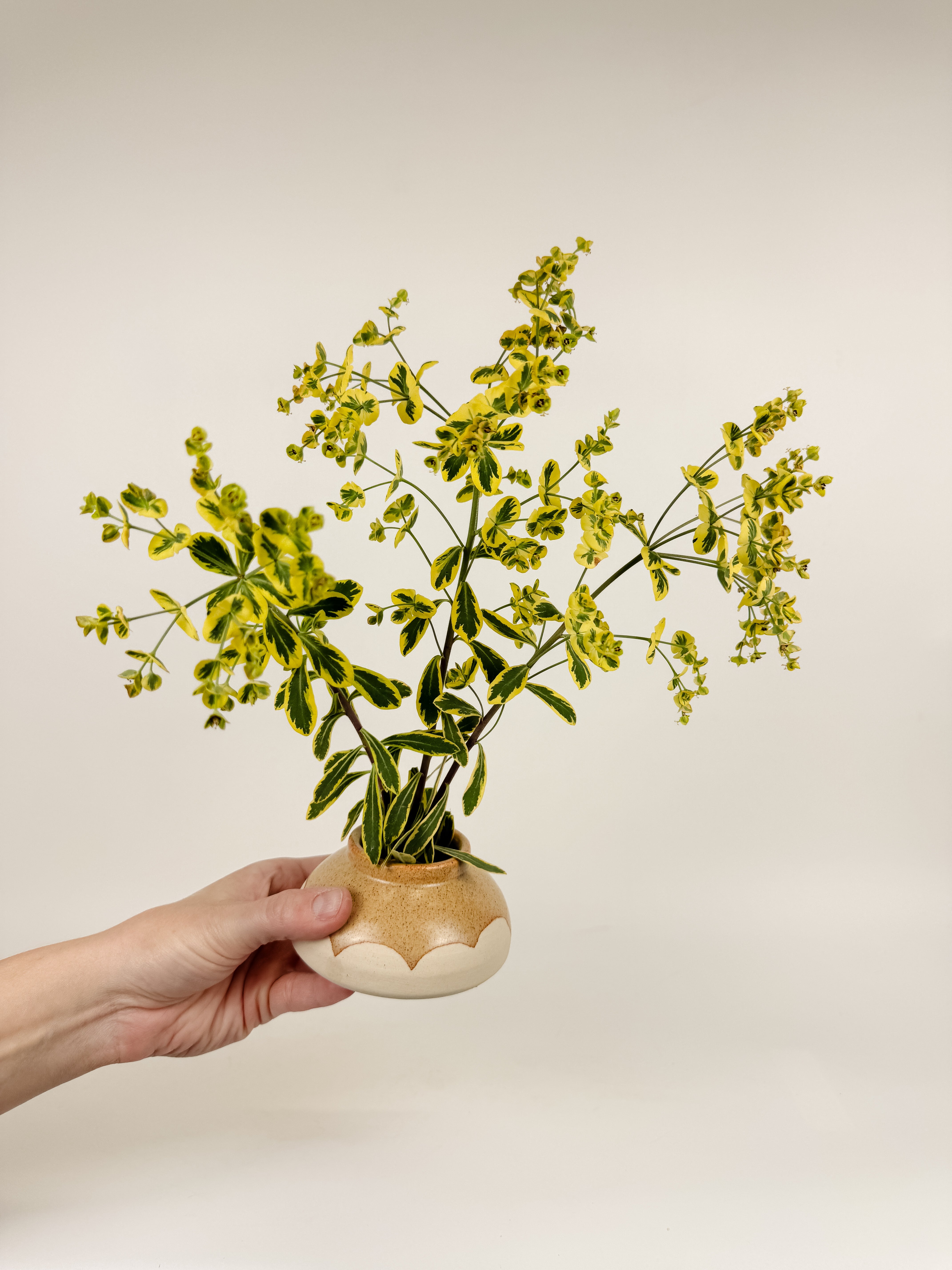 Tan Ikebana Vase