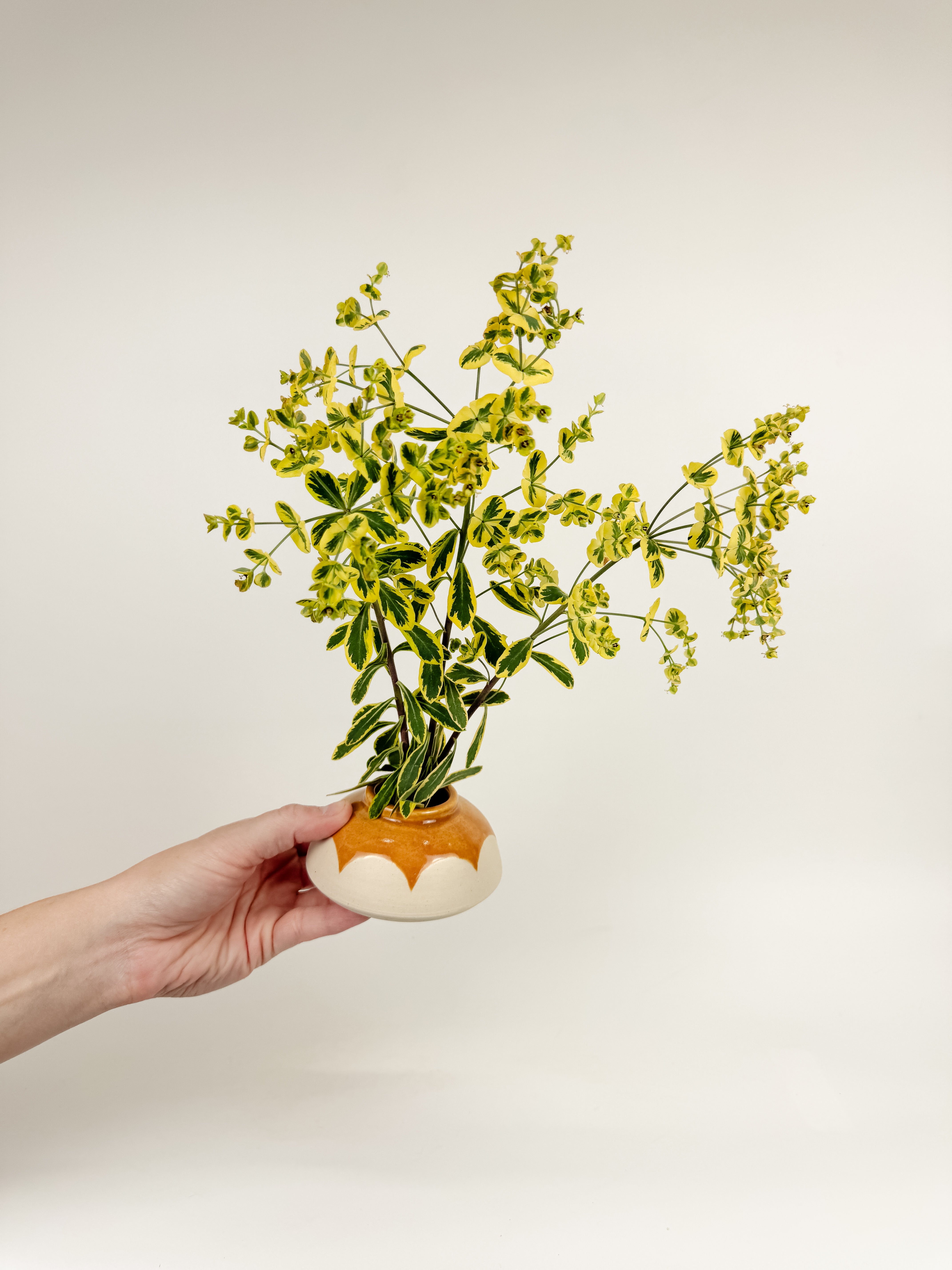 Orange Ikebana Vase